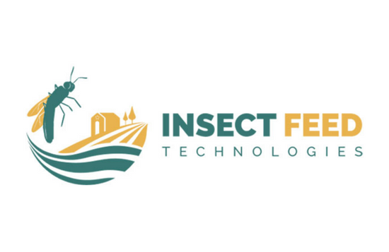 insect feed